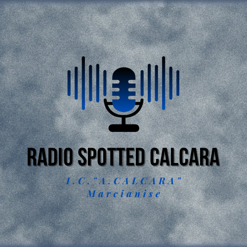 RADIO SPOTTED CALCARA